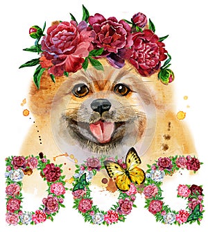 Watercolor portrait of dog pomeranian spitz with flowers