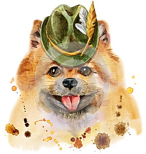 Watercolor portrait of dog pomeranian spitz with green hat
