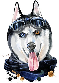 Watercolor portrait of husky with kerchief and glasses