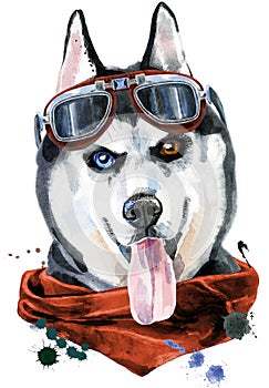 Watercolor portrait of husky with kerchief and glasses