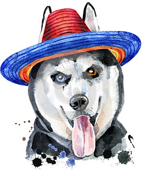 Watercolor portrait of husky in mexican hat