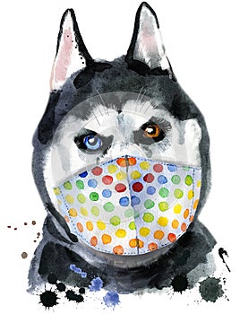 Watercolor portrait of husky in protective medical mask