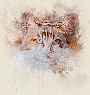 Watercolor Portrait illustration of a tricolor cat