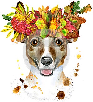 Watercolor portrait of jack russell terrier in a wreath of autumn leaves