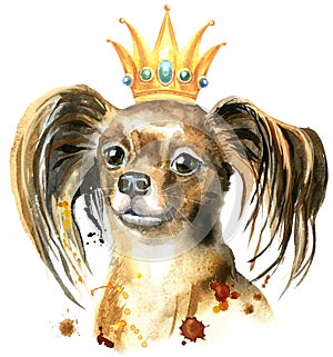 Watercolor portrait of long-haired toy terrier with a crown on his head