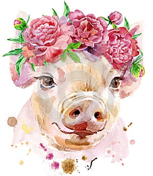 Watercolor portrait of mini pig