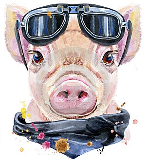 Watercolor portrait of mini pig biker sunglasses