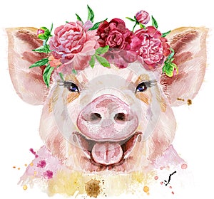 Watercolor portrait of pig