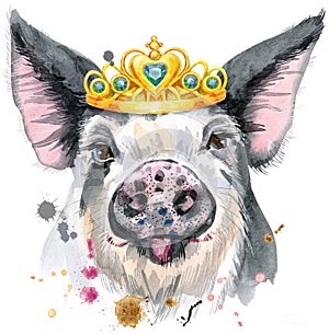 Watercolor portrait of pig