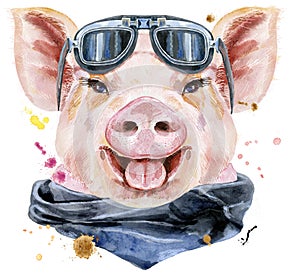 Watercolor portrait of pig with biker sunglasses