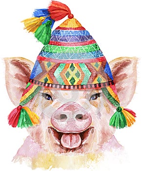 Watercolor portrait of pig in chullo hat