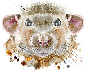 Watercolor portrait of rat with splashes