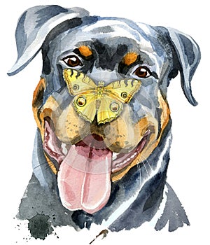Watercolor portrait of rottweiler with butterfly on its nose