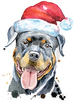 Watercolor portrait of rottweiler with Santa hat