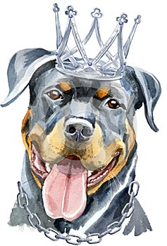 Watercolor portrait of rottweiler with silver crown