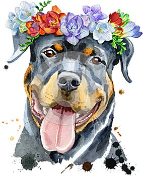 Watercolor portrait of rottweiler in a wreath of freesia