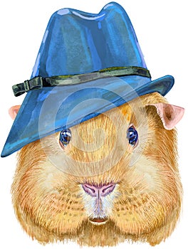 Watercolor portrait of Self guinea pig in blue hat on white background