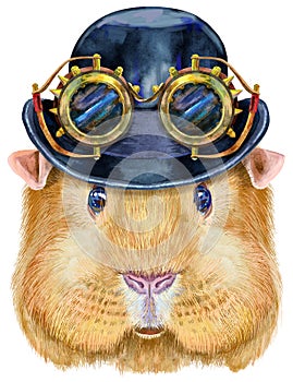 Watercolor portrait of Self guinea pig with hat bowler and steampunk glasses on white background