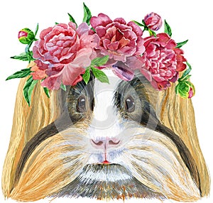 Watercolor portrait of Sheltie Guinea Pig with freesia wreath on white background