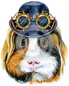 Watercolor portrait of Sheltie guinea pig with hat bowler and steampunk glasses on white background