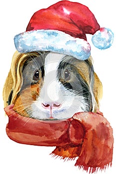 Watercolor portrait of Sheltie guinea pig with Santa hat on white background