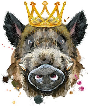 Watercolor portrait of wild boar with gold crown