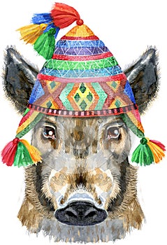 Acuarela retrato Salvaje Jabali en peruano un sombrero 