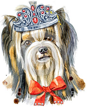 Watercolor portrait of yorkshire terrier breed Dog in silwer crown photo