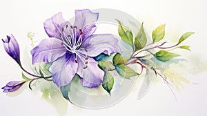 Watercolor Portrayal of the Kakabeak Flower on a White Canvas AI Generated