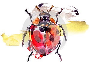 Watercolor poster with ladybug