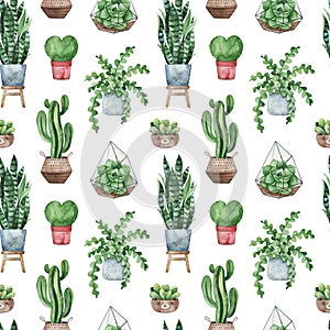 Watercolor potted plants texture