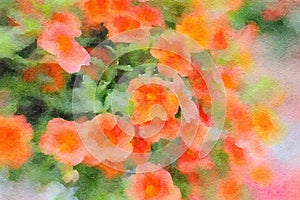Watercolor of pretty orange flowers. Digitalart. photo