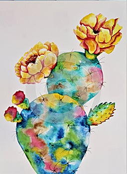 Watercolor Prickly Pear Cactus, Opuntia,  in Bloom