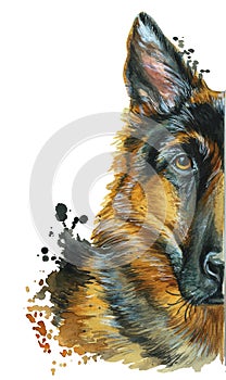 Watercolor printshop, print on the theme of the breed of dogs, mammals, animals, breed German shepherd, portrait, color red-black,