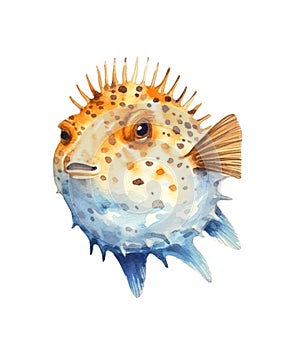Watercolor pufferfish isolated on white background.