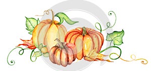 Watercolor pumpkin and autumn leaves. Harvest composition. Happy Thanksgiving day. Hand drawn illustration