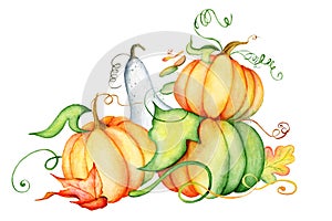Watercolor pumpkin and autumn leaves. Harvest composition. Happy Thanksgiving day. Hand drawn illustration
