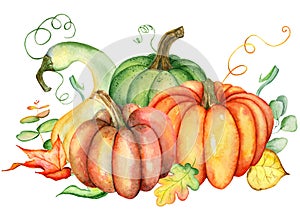 Watercolor pumpkin and autumn leaves. Harvest composition. Happy Thanksgiving day. Hand drawn illustration