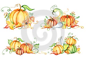 Watercolor pumpkin and autumn leaves. Harvest composition. Happy Thanksgiving day. Hand drawn illustration