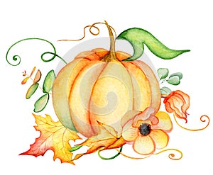 Watercolor pumpkin and autumn leaves. Harvest composition. Happy Thanksgiving day. Hand drawn illustration