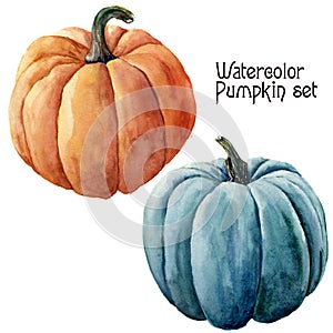 Watercolor pumpkin set. Hand painted orange and blue vegetables isolated on white background. Autumn pumpkin print for design