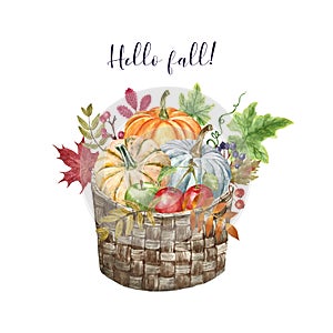 Watercolor pumpkins and apples in a harvest basket, isolated on white background. Hand painted fall seasonal vegetables, fruits