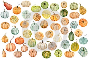 watercolor pumpkins, Halloween illustration set, harvest, Thanksgiving autumn design elements, fall, holiday clip art