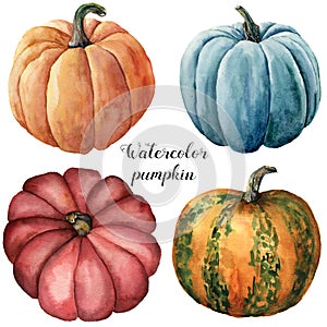 Watercolor pumpkins. Hand painted red, blue, orange and orange with green stripes pumpkins isolated on white background