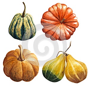 Watercolor pumpkins set isolated on white background