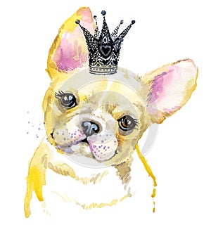 Watercolor puppy dog illustration. French Bulldog breed