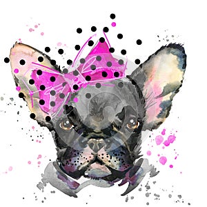 Watercolor puppy dog illustration. French Bulldog breed.