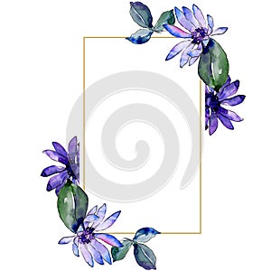 Watercolor purple african daisy. Floral botanical flower. Frame border ornament square.