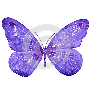 watercolor purple butterfly