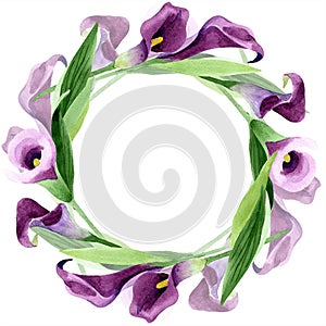 Watercolor purple callas flower. Floral botanical flower. Frame border ornament square.